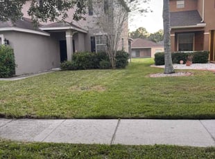 April D.'s turf care service result