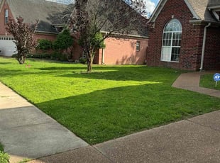 Sandra J.'s turf care service result