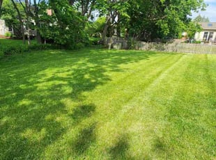 Gloria H.'s grass cutting service result