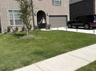 Michael P.'s turf maintenance service result