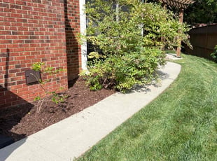 Cameron M.'s Flower Bed Weeding service result