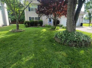 Yadira T.'s lawn maintenance service result