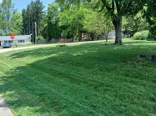Ingrid E.'s lawn care services service result