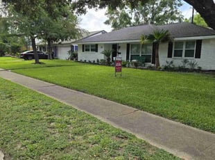 Fernando C.'s lawn maintenance service result