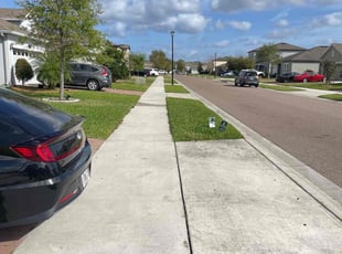 Colleen R.'s grass cutting service result