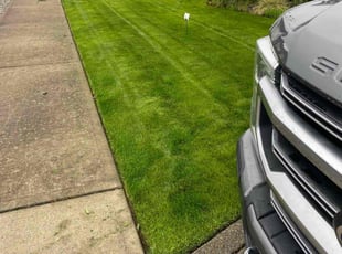 Christena J.'s turf maintenance service result