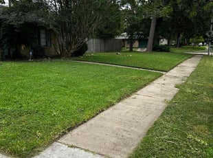 Sarah M.'s lawn care service result