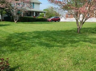 Brian R.'s turf maintenance service result