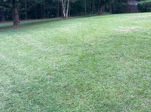 Gwendolyn P.'s lawn maintenance service result