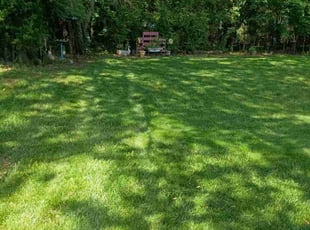 Benjamin M.'s lawn maintenance service result