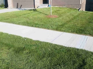 Derrick D.'s lawn care services service result