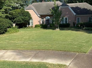 Corinne C.'s lawn care services service result