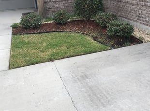 Zainab K.'s Bush Trimming service result