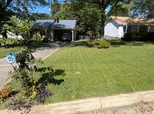 Kimberly B.'s grass cutting service result