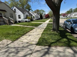 Khamta S.'s turf care service result