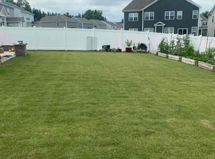 William M.'s turf care service result