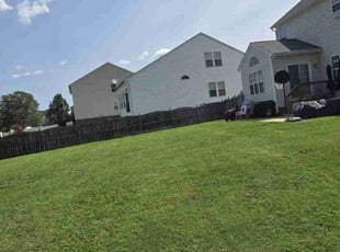 Kyra S.'s grass cutting service result