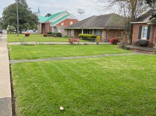 April G.'s turf care service result