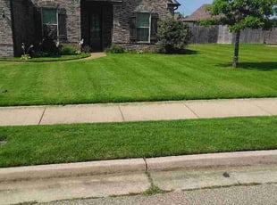 Clifford H.'s turf maintenance service result