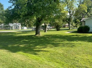 Kelly E.'s grass maintenance service result