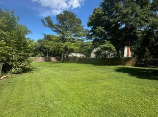 Randall K.'s lawn care service result