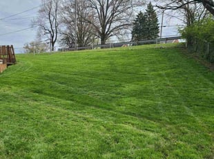 Jonathan H.'s grass maintenance service result