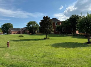 Yvonne P.'s turf maintenance service result