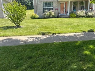 Ron A.'s grass maintenance service result