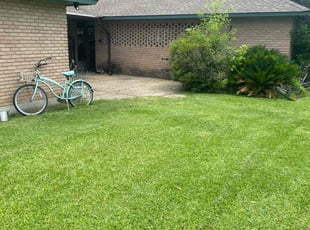 Larry M.'s turf maintenance service result