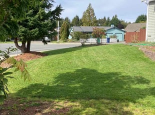 Tim H.'s grass maintenance service result