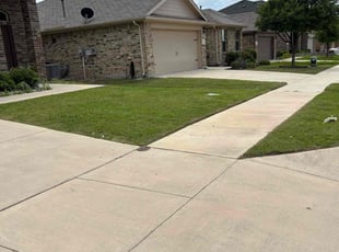 Preitus M.'s lawn service service result