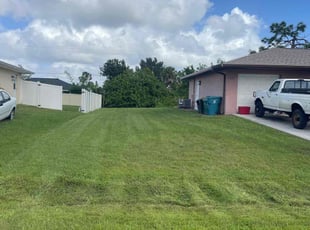 Sheila H.'s turf care service result