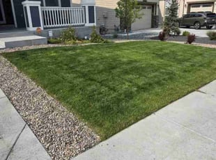 Michaeleen S.'s lawn service service result