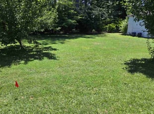 Hannah W.'s grass maintenance service result