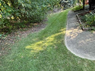 Sally J.'s grass cutting service result