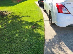 Tom B.'s lawn maintenance service result