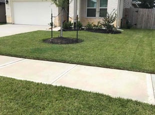 Nolan M.'s turf care service result