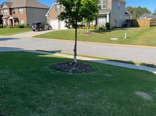 Luis C.'s grass maintenance service result