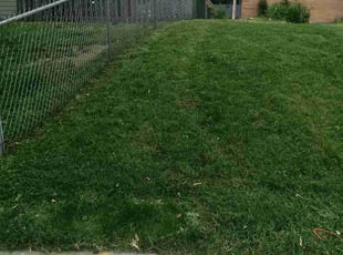 Linda C.'s turf maintenance service result