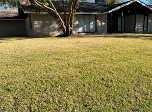 Jared R.'s lawn care services service result