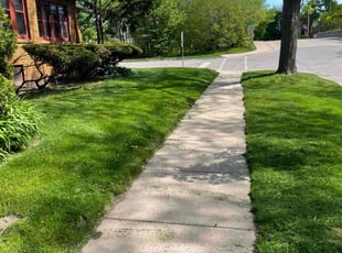 Cortney S.'s lawn maintenance service result