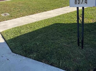 Twaambo S.'s lawn service service result