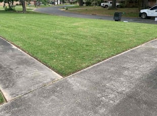 Celeste L.'s landscaping service result