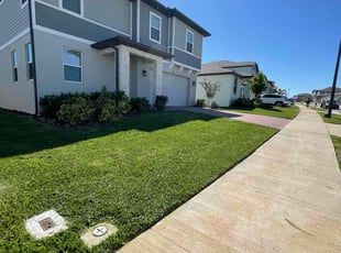 Daniel R.'s grass cutting service result