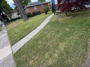 Greg G.'s grass cutting service result