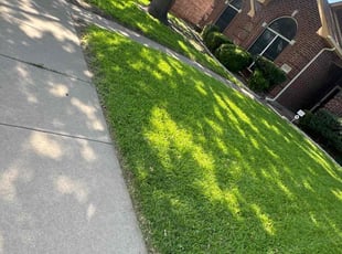 Marcella B.'s lawn service service result