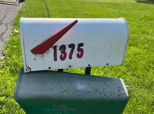 Nedra N.'s lawn service service result