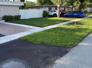 Renee C.'s lawn service service result