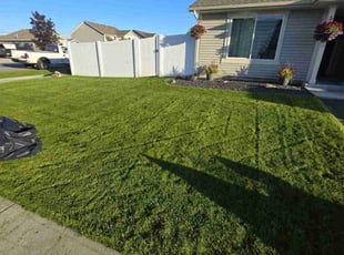 Allie M.'s lawn care services service result