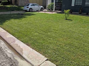 Cary S.'s turf care service result